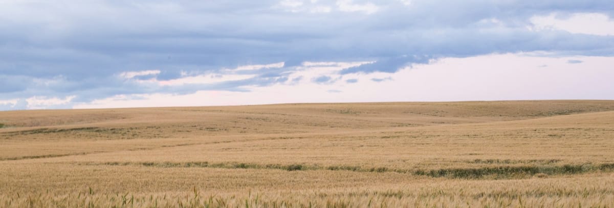 Association Plans: What are they and are they worth it?
