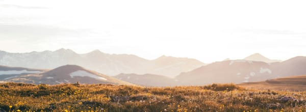 Budgeting for your group benefits plan