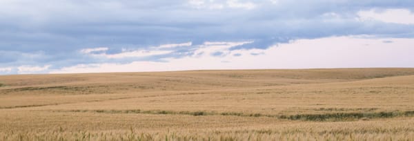 Association Plans: What are they and are they worth it?