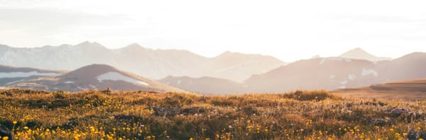 How to read a renewal report